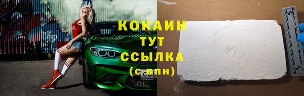 шишки Наволоки