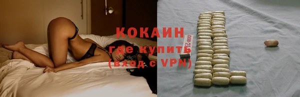 шишки Наволоки