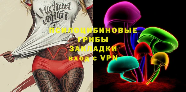 шишки Наволоки