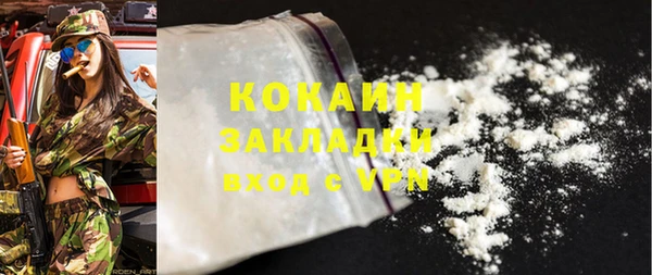 шишки Наволоки