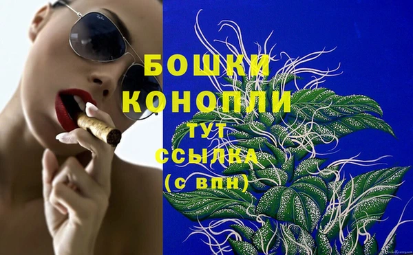 гашик Надым