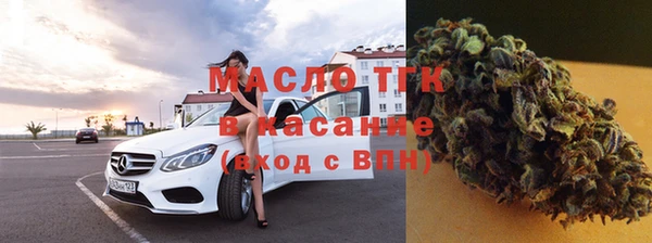 гашик Надым